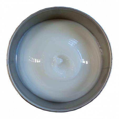 AKEPOX 5010 EN TUBE (A+B) 450 g - TRANSPARENT-LAITEUX